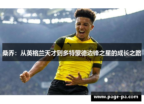 桑乔：从英格兰天才到多特蒙德边锋之星的成长之路
