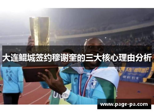 大连鲲城签约穆谢奎的三大核心理由分析
