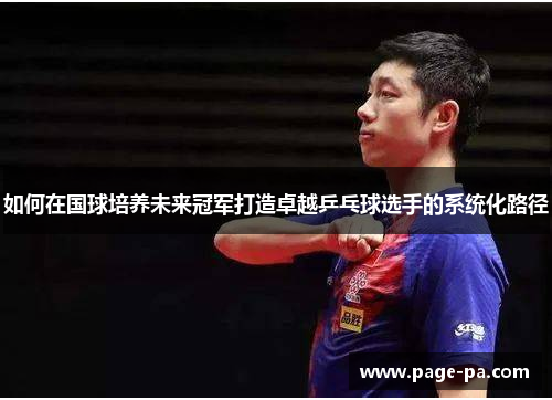 如何在国球培养未来冠军打造卓越乒乓球选手的系统化路径