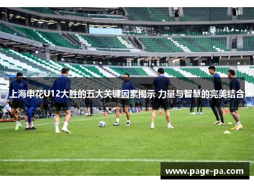 上海申花U12大胜的五大关键因素揭示 力量与智慧的完美结合