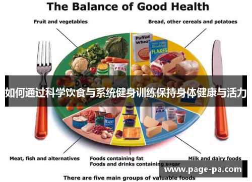 如何通过科学饮食与系统健身训练保持身体健康与活力