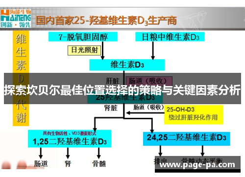 探索坎贝尔最佳位置选择的策略与关键因素分析