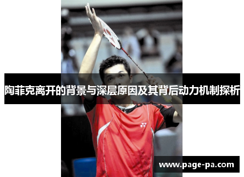 陶菲克离开的背景与深层原因及其背后动力机制探析