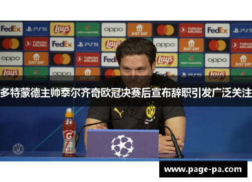 多特蒙德主帅泰尔齐奇欧冠决赛后宣布辞职引发广泛关注 多特蒙德主帅泰尔齐奇欧冠决赛后宣布辞职引发广泛关注