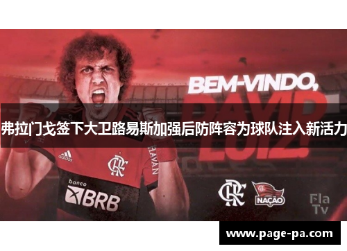 弗拉门戈签下大卫路易斯加强后防阵容为球队注入新活力 弗拉门戈签下大卫路易斯加强后防阵容为球队注入新活力