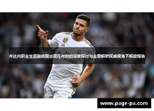 齐达内职业生涯巅峰期出现在何时的深度探讨与全面解析权威视角下解读报告