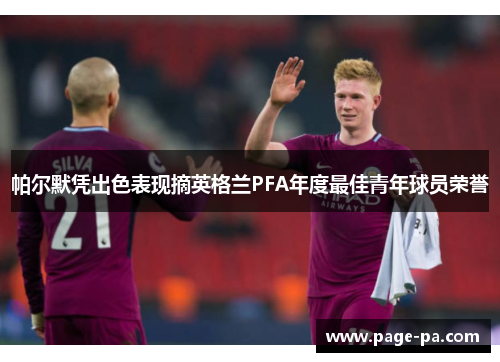 帕尔默凭出色表现摘英格兰PFA年度最佳青年球员荣誉