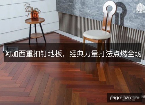 阿加西重扣钉地板,经典力量打法点燃全场 阿加西重扣钉地板,经典力量打法点燃全场